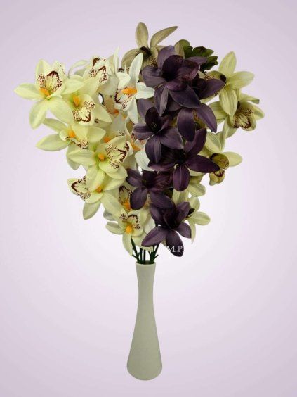 65792 orchidea kus