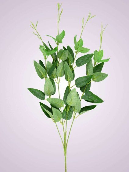 EUKALYPTUS BL048 POWDER GREEN
