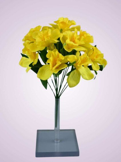 F2308 kytica narcis