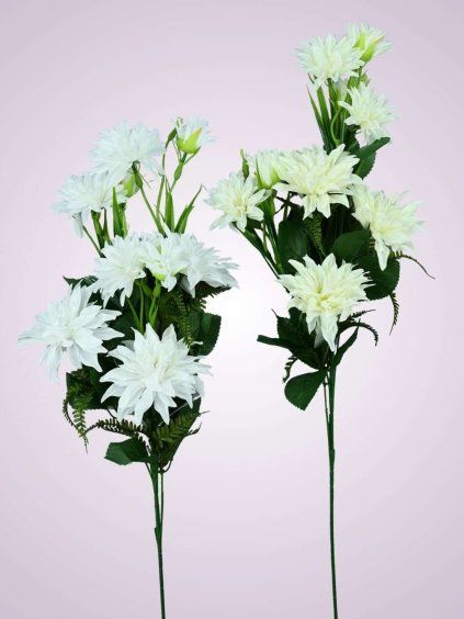 MP2366 dalia trs