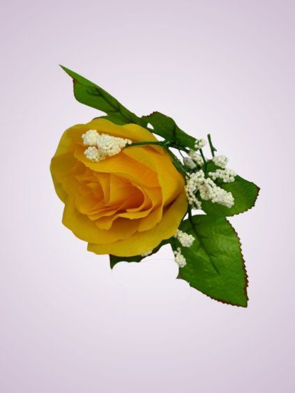 FR000030 ruža s listom yellow