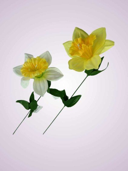 FX19305 narcis kus