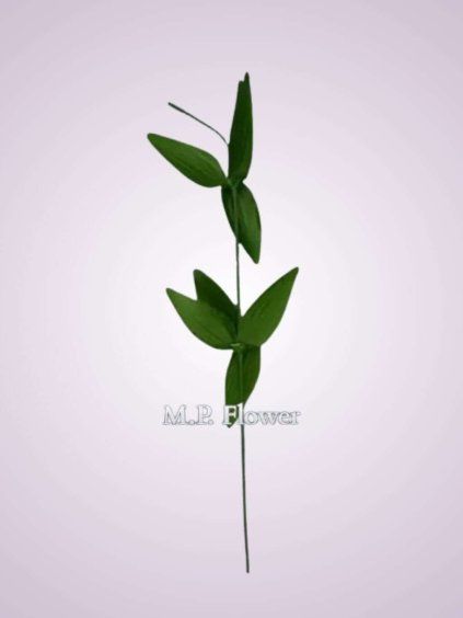 FX19305 stonka narcis