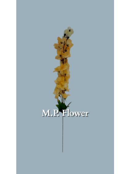 K240 delphinium