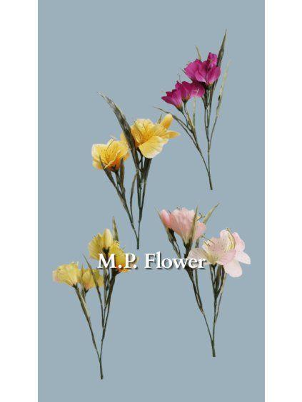 MEL068255 Stopkovy trs