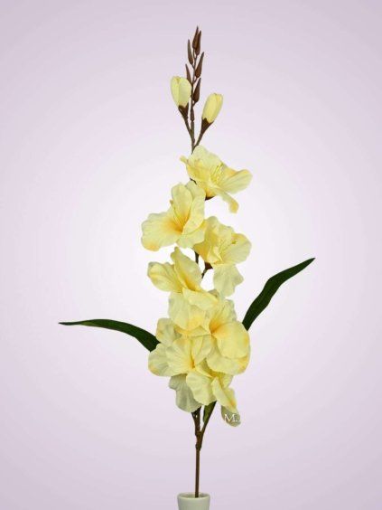 MP17170 gladiola yellow 1