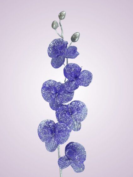 VIA02 orchidea modro fialová