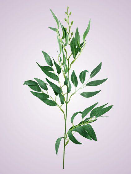 LIU388 ruscus powder green