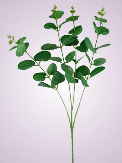 LIU465 eukalyptus green