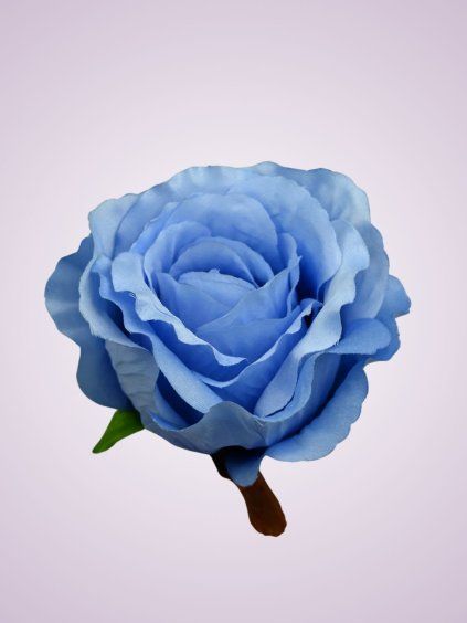 W1849 ruža blue