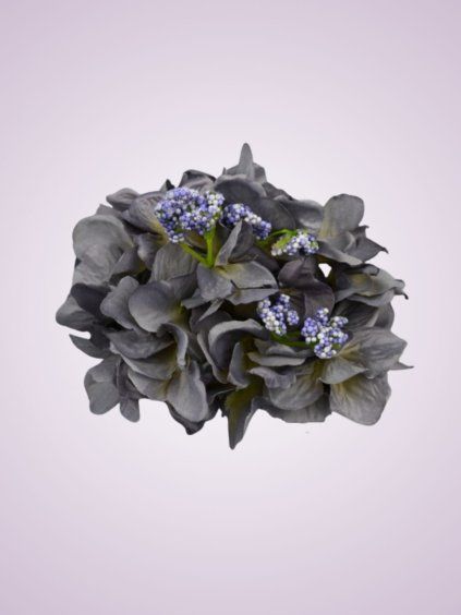 MP548 hortenzia grey