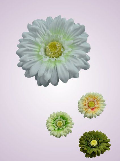 233668 gerbera