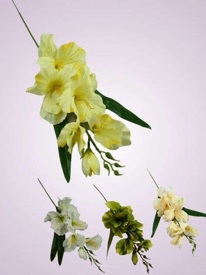MP19002 gladiola