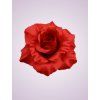 F2142 ruža red