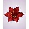 MP216500 ľalia red