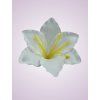 MP216500 ľalia pure white
