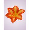MP216500 ľalia orange