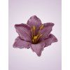 MP216500 ľalia mauve