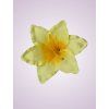 MP216500 ľalia lt yellow