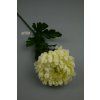 MP17135 cream