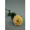 MP17035 chryzantema lt peach tch