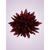 MP17065 chryzantéma dk red (1)
