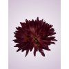 MP17065 Chryzantéma mauve