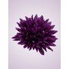 MP17065 Chryzantéma lilac