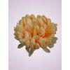 MP435 Chryzantéma lt peach