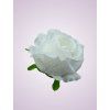 FXT023 ruža white