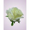 FXT023 ruža cream
