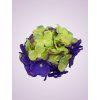 C10012 hortenzia lavender green