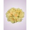 C10012 hortenzia lt peach
