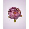 RS234395 pivónia mauve tch