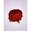 RS234395 pivónia red 13