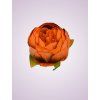 RS234395 pivónia orange tch 12