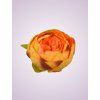 RS234395 pivónia orange brown tch 07