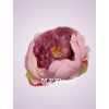Y2196 pivónia dk pink