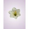 F001 ľalia cream