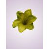 F001 ľalia lt green