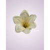 F001 ľalia cream aut