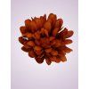 FU19103 Chryzantéma orange