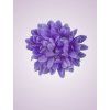 FU19103 chryzantéma lt lilac 979