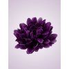 FU19103 Chryzantéma lilac