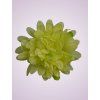 FU19103 Chryzantéma lt green