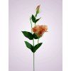 SUN357 lisianthus kus. NUDE