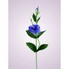 SUN357 lisianthus kus. VIOLET LT BLUE
