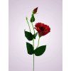 SUN357lisianthus kus. RED GREEN