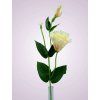 SUN357 lisianthus kus. PEARL PEACH