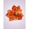 F19225 amarylis orange